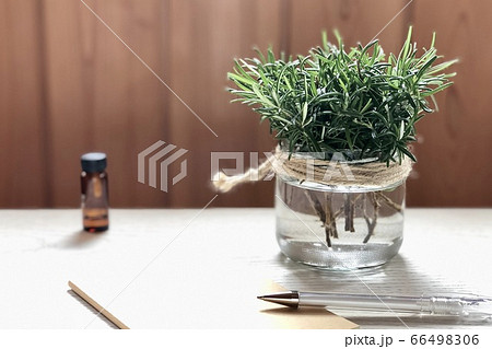 アロマ生活 ナチュラルライフ  6 66498306