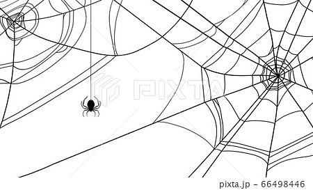 蜘蛛の巣の素材のイラスト素材