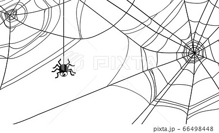 蜘蛛の巣の素材のイラスト素材