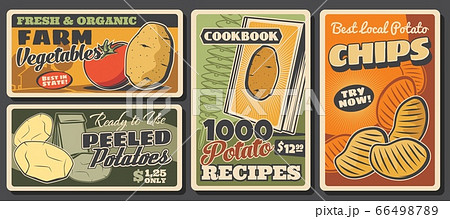 Potato and tomato vegetables, farm food posters Potato and tomato vegetables, farm food posters 66498789