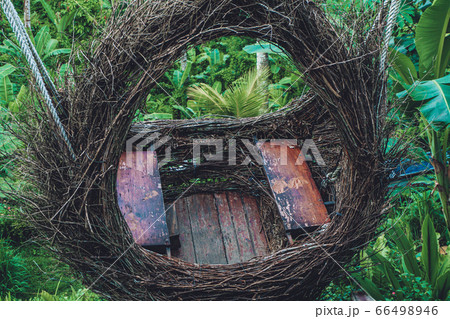 bird nest from branches at rice terass in bird nest from branches at rice terass in 66498946