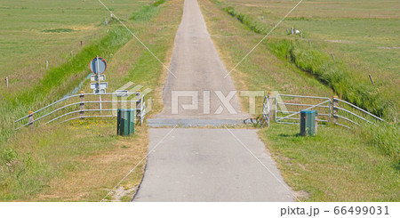 Cattle grid in ground 66499031