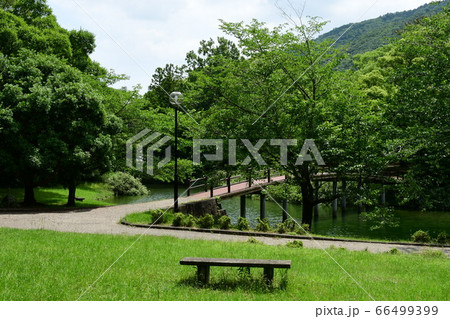 五十鈴公園 66499399