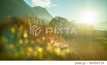 Creative landscape with blurred forefront on a sunny sky background, Austria. 66499724