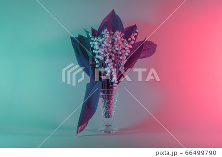 Beautiful Convallaria majalis in vase and minimal 66499790