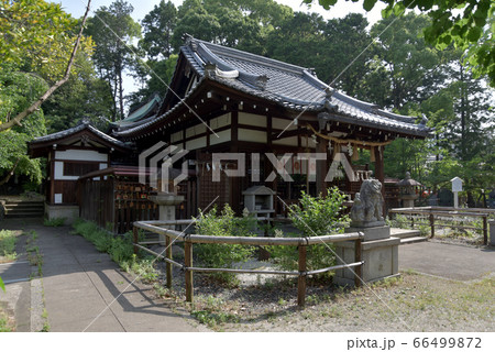 新熊野神社 本殿 新熊野神社 本殿 66499872
