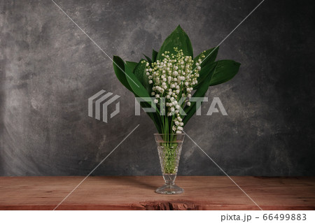 Convallaria majalis on a red wooden table Convallaria majalis on a red wooden table 66499883