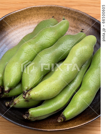 生のそら豆 生のそら豆 66500605