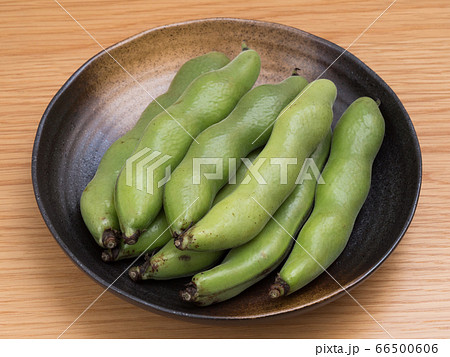 生のそら豆 生のそら豆 66500606