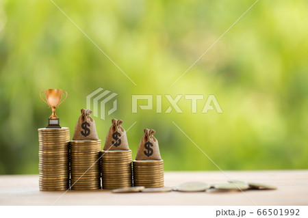 Golden trophy, US money bags on rows of rising coins. Financial concept : portfolio management champion, money or asset investment depicts great performance and portfolio for highest profit 66501992