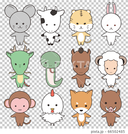 Zodiac Zodiac 66502485