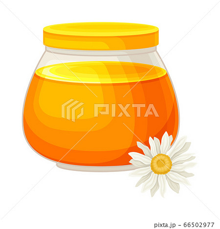 Glass Jar Full with Honey and Daisy Flower Rested Nearby Vector Illustration 66502977