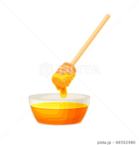 Glass Bowl Full of Honey and Dipper with Sticky Drops Vector Illustration 66502980