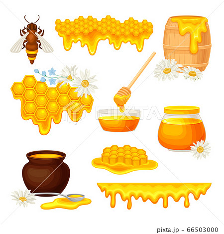 Honey omb with Hexagonal Wax Cells and Glass Jar Poured with Honey Vector Set Honey omb with Hexagonal Wax Cells and Glass Jar Poured with Honey Vector Set 66503000