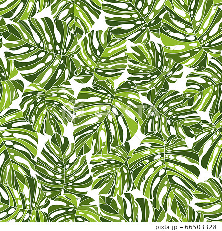 シームレスな熱帯植物のアロハ柄のイラスト素材
