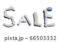 珊瑚文字　SALE  影あり 66503332