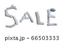 珊瑚文字　SALE  影なし 66503333