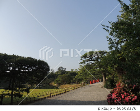 初夏の公園・早朝・森 初夏の公園・早朝・森 66503376