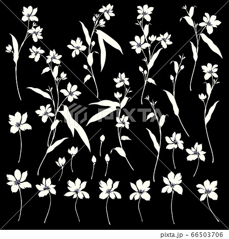 シンプルで美しいベクター花素材 シンプルで美しいベクター花素材 66503706