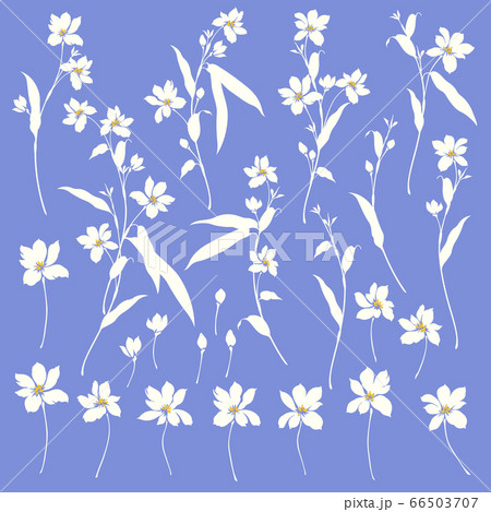 シンプルで美しいベクター花素材 66503707