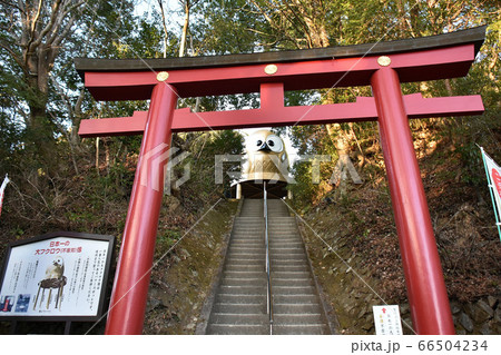 栃木県那須郡那珂川・茨城県常陸大宮市　鷲子山上神社 66504234