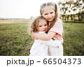Little sister girls walk in the spring meadow. 66504373