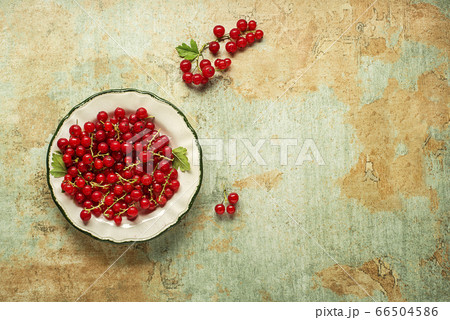 Red currant berry 66504586