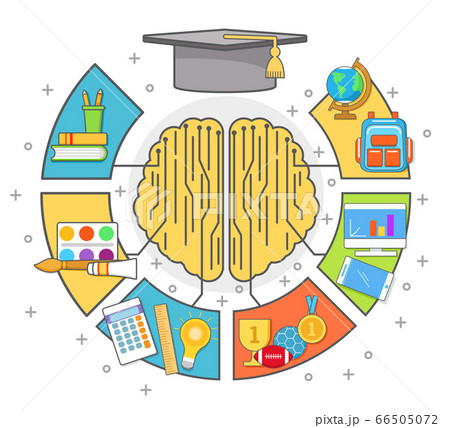 Education infographic vector thin line flat style illustration 66505072