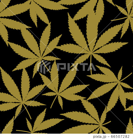 Cannabis Or Marijuana Leaves In Gold のイラスト素材