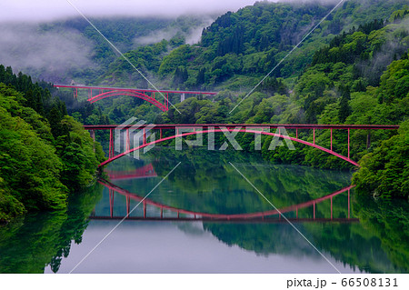 富山・新緑の庄川峡 66508131