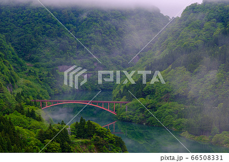 富山・新緑の庄川峡 66508331