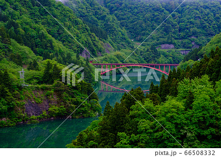 富山・新緑の庄川峡 66508332