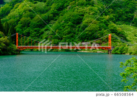 富山・庄川・新緑の大渡橋 66508564