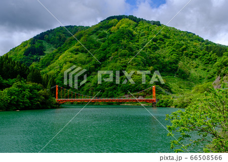 富山・庄川・新緑の大渡橋 富山・庄川・新緑の大渡橋 66508566
