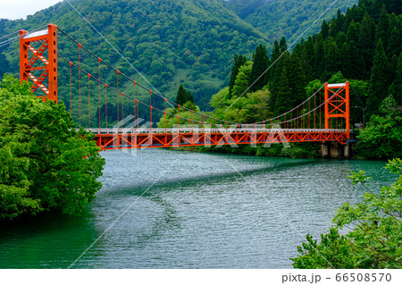 富山・庄川・新緑の大渡橋 66508570