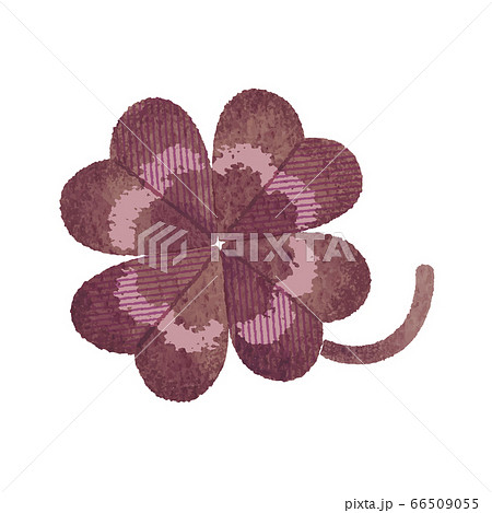 紫の四つ葉のクローバーのイラスト素材