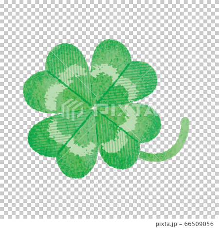 Green four leaf clover 66509056