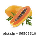 papaya isolated on white background 66509610