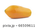 papaya isolated on white background 66509611