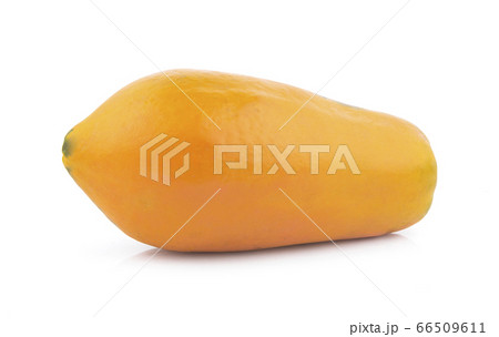 papaya isolated on white background papaya isolated on white background 66509611