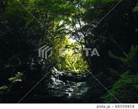 山奥の沢 山奥の沢 66509858