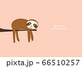 Cute sloth happy sleeping on tree branch vector graphic 66510257