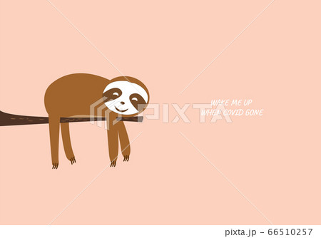 Cute sloth happy sleeping on tree branch vector graphic Cute sloth happy sleeping on tree branch vector graphic 66510257