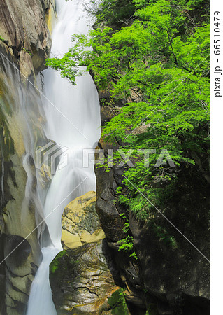 新緑の仙娥滝　昇仙峡 66510479
