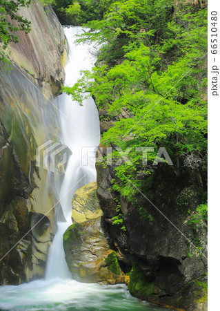 新緑の仙娥滝　昇仙峡 66510480