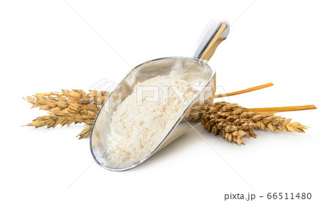 Flour and wheat 66511480