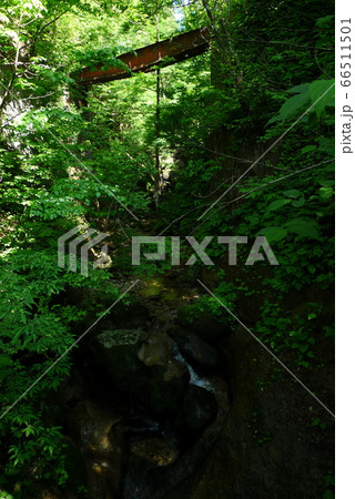 琴沢/俎倉山【新潟県新発田市】 琴沢/俎倉山【新潟県新発田市】 66511501