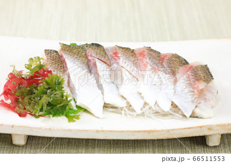 美味しい赤カマス刺身 66511553