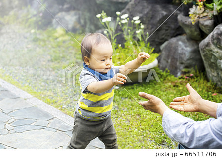 歩き始めた子供がお母さんの手を頼りに歩く 66511706