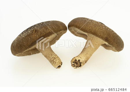 肉厚の生椎茸 66512484